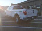 Thumbnail Photo 3 for 2013 Ford F150